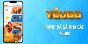 Đá Gà Yeu88 - Sân Chơi Hội Tụ Những Chiến Kê Đỉnh Cao