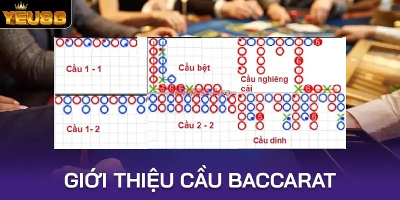 Giới thiệu cầu baccarat cho người mới