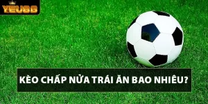 avatar Kèo Chấp Nửa Trái Ăn Bao Nhiêu?