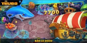 bắn cá disco