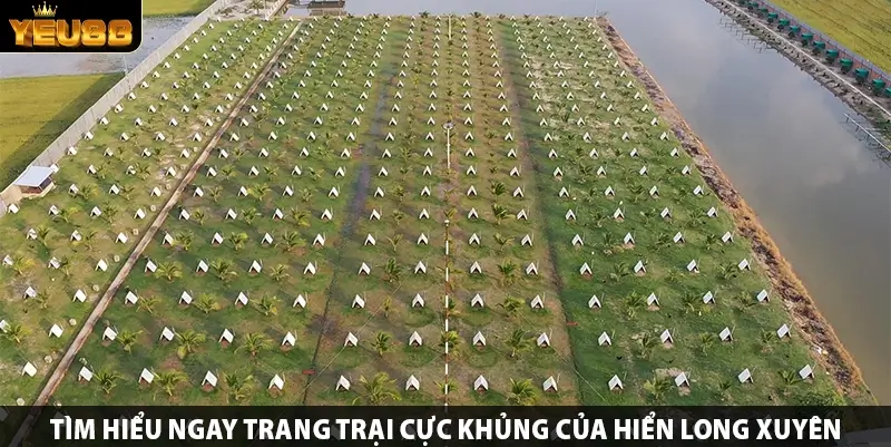 Tìm hiểu ngay trang trại cực khủng của Hiển Long Xuyên